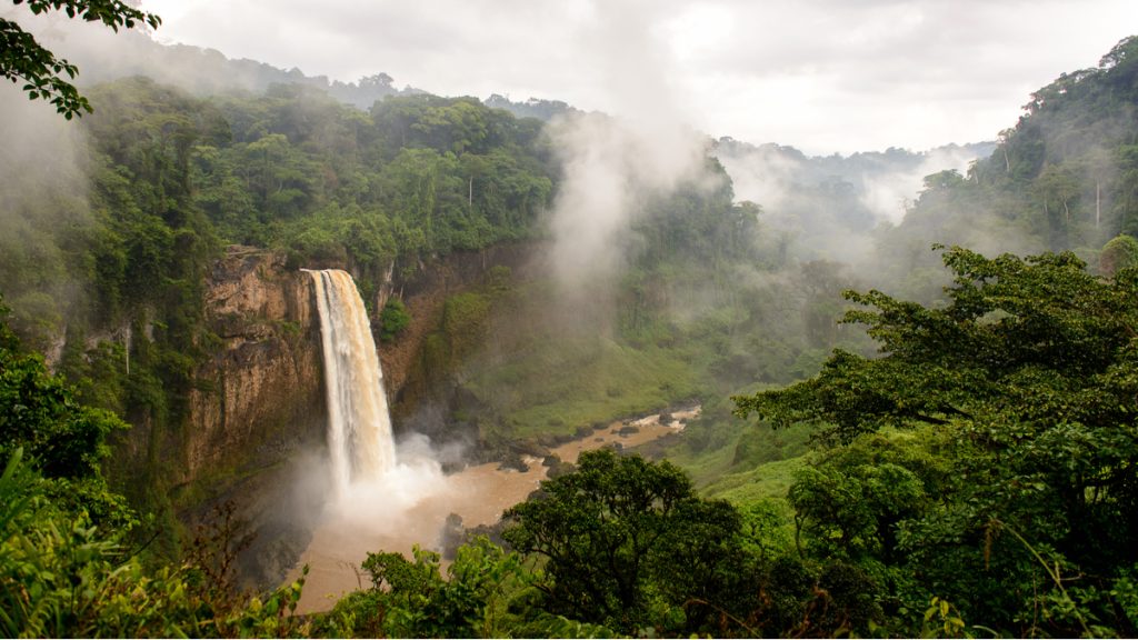 bff32d51d0425c2950e15f6b248ed096